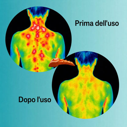 BodyFlow™