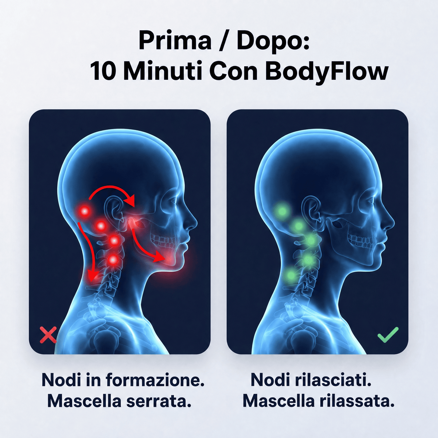 BodyFlow™